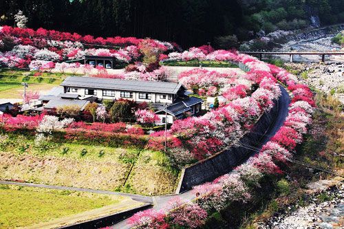 月川温泉　野熊の庄　月川