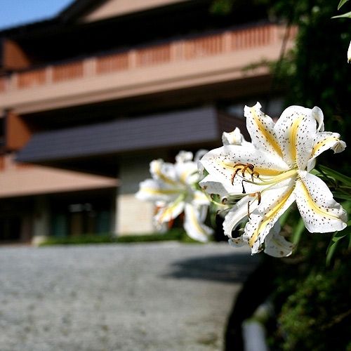 仙石原温泉　仙郷楼