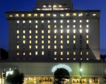 湯田温泉　ホテルニュータナカに格安で泊まる。