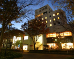 諏訪シティホテル成田屋に格安で泊まる。
