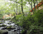 「蔵王の森」がつくる美と健康の温泉宿　ゆと森倶楽部に格安で泊まる。